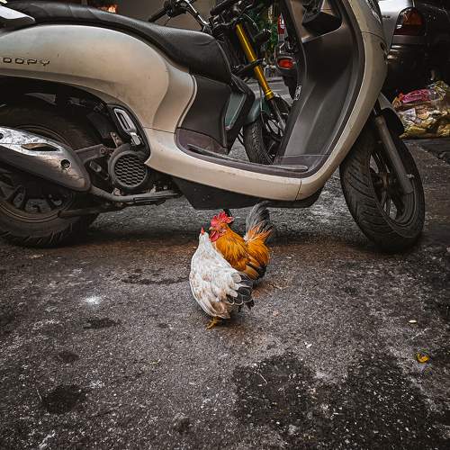 Photo #11432923