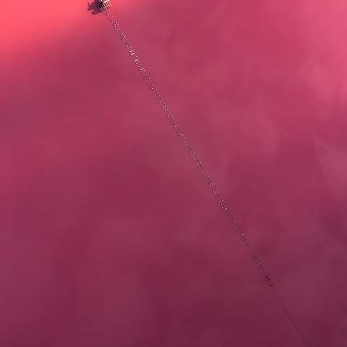 Photo #11433161