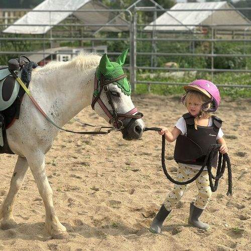 Photo #11433450