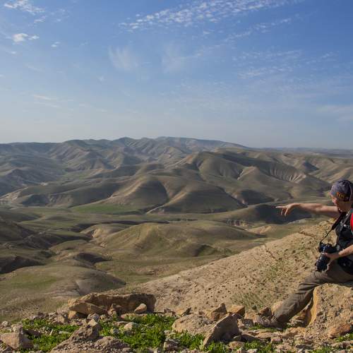 Photo #11433462