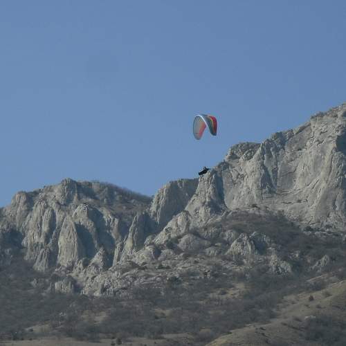 Photo #11433855
