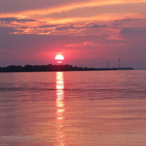 Photo #11433963
