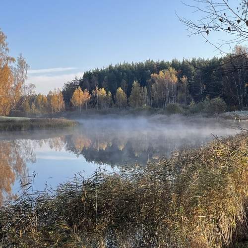 Photo #11434153