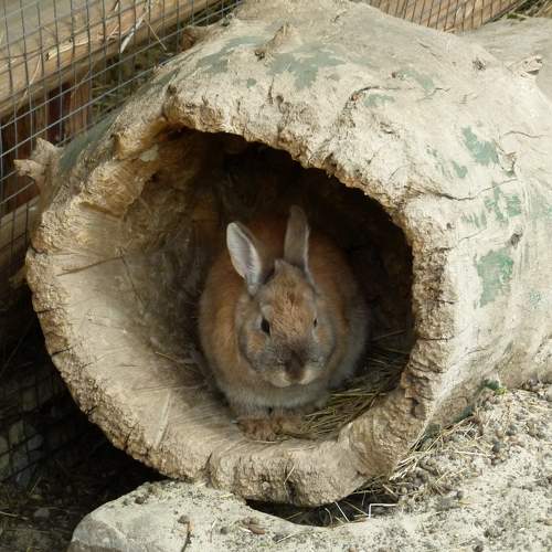 Photo #11434224
