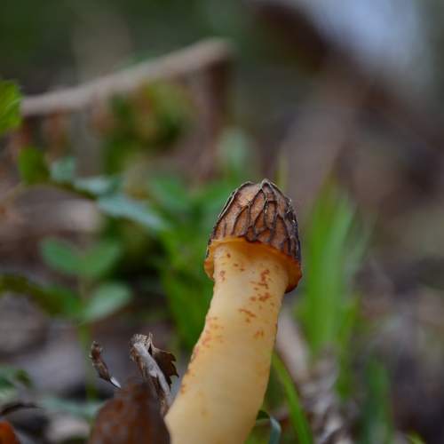 Photo #11434239