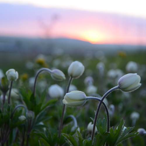 Photo #11434265