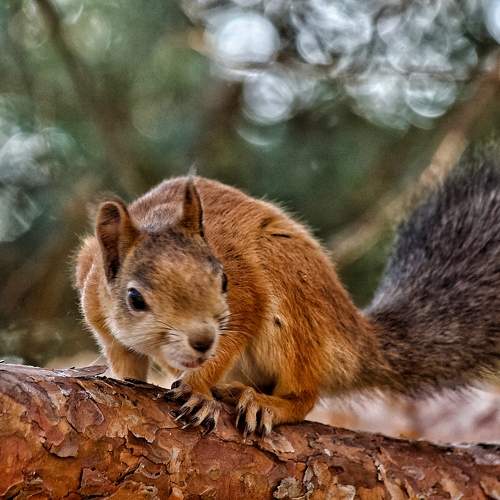Photo #11434695