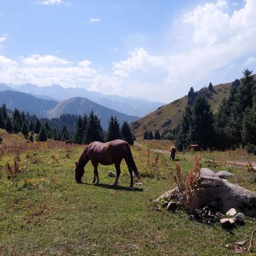 Photo #11434870