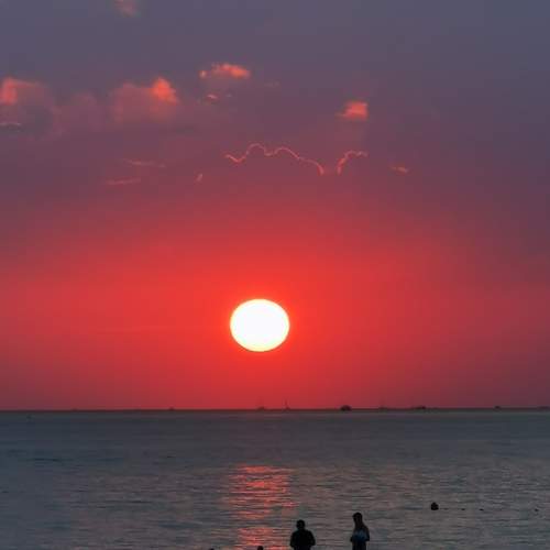 Photo #11435007