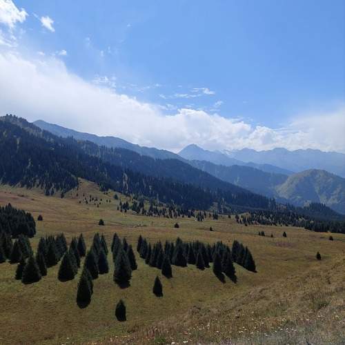 Photo #11435038