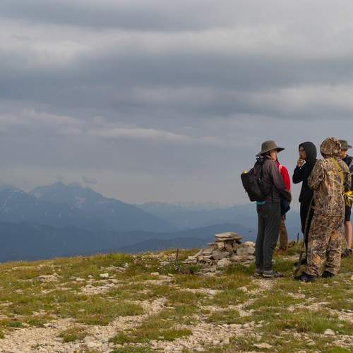 Photo #11436336