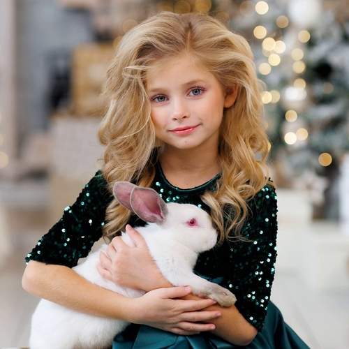 Photo #11436543