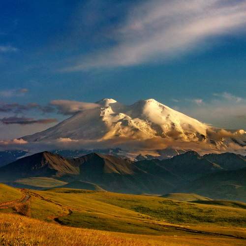 Photo #11436555