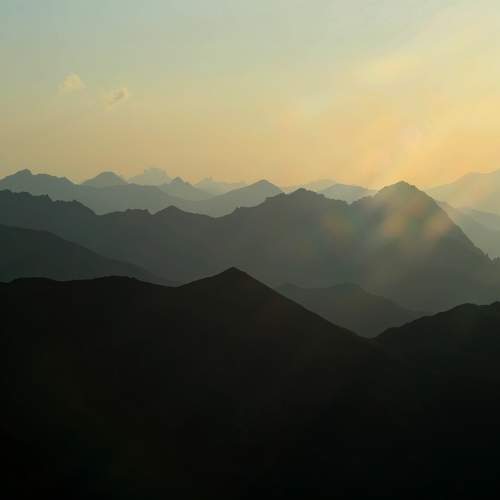 Photo #11436558