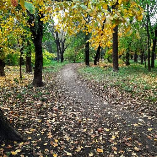 Photo #11436569