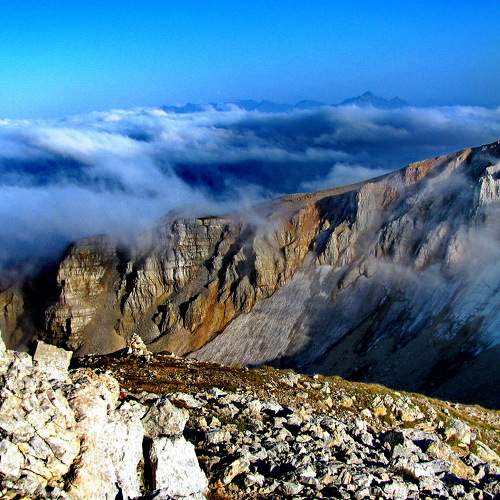 Photo #11436570