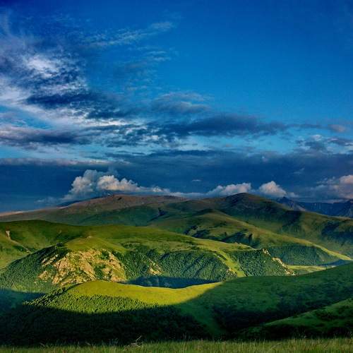 Photo #11436579