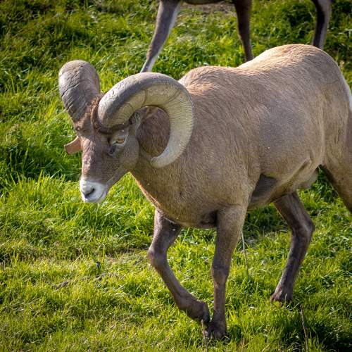Photo #11436599
