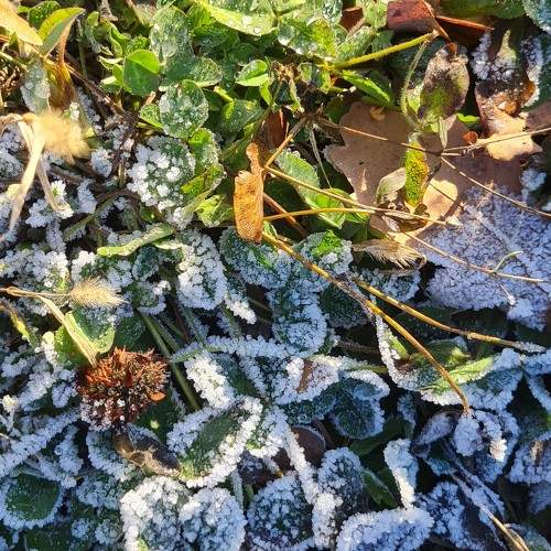 Photo #11436612