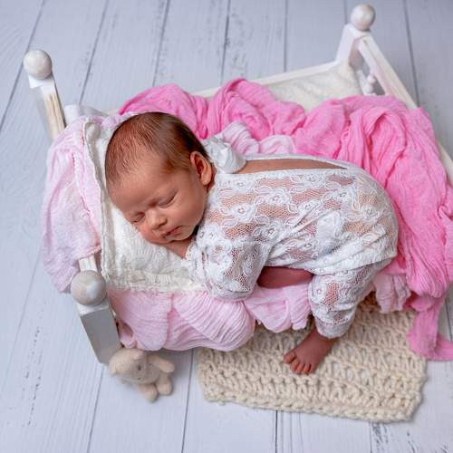 Photo #11436645