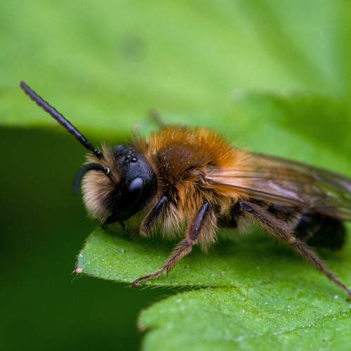 Photo #11436968