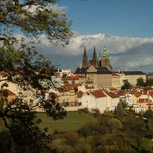 Photo #11437687