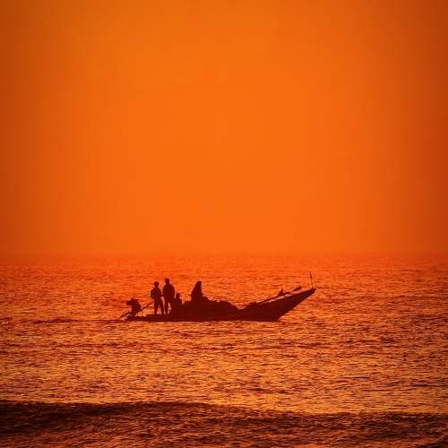 Photo #11437704