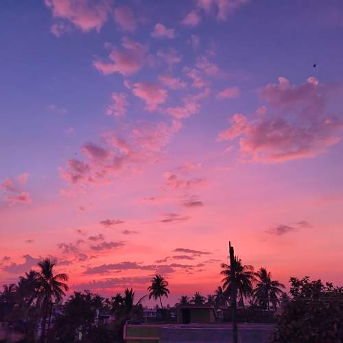 Photo #11437730