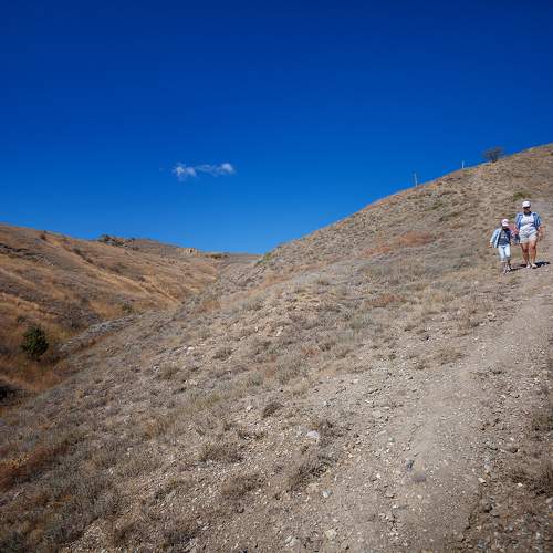 Photo #11437868