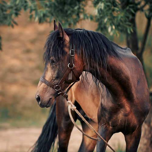 Фотография #11437895