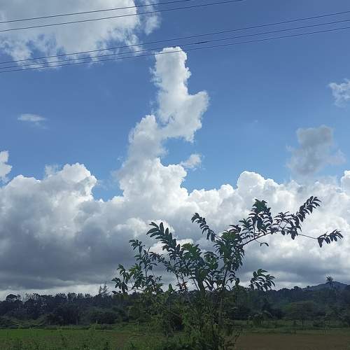 Photo #11438275