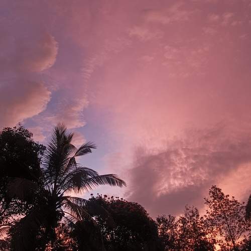 Photo #11438276