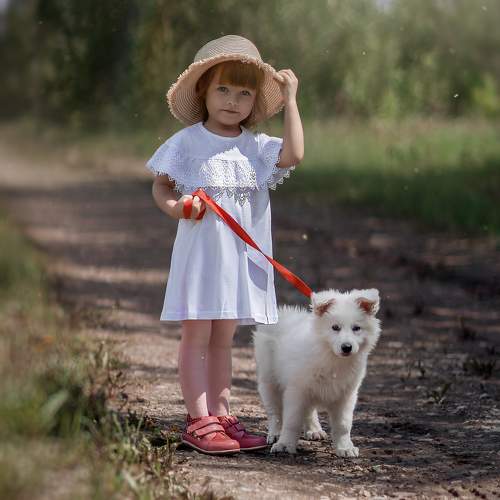 Photo #11438323