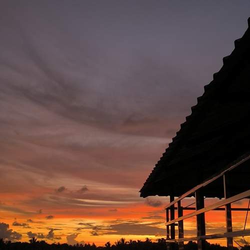 Photo #11438432
