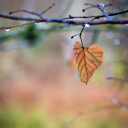 Photo #11438882