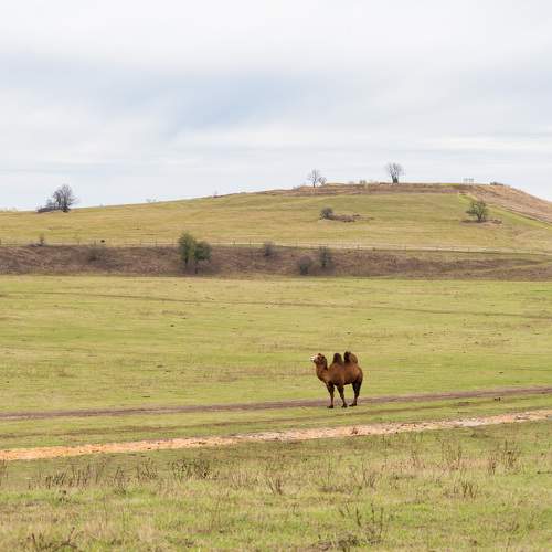 Photo #11438932