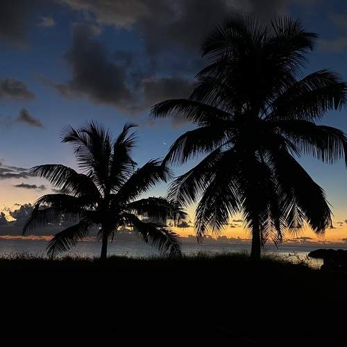 Sunrise