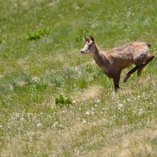 Photo #11438975