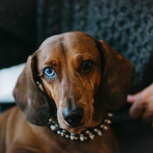 Photo #11438999