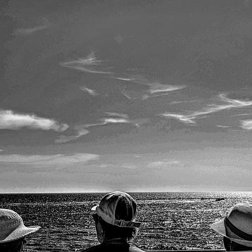 Photo #11439399