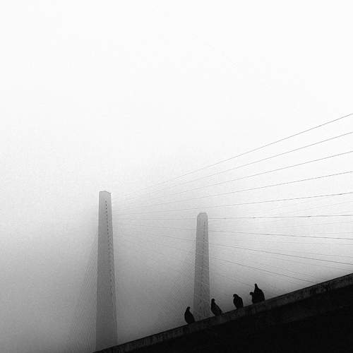 Photo #11439499