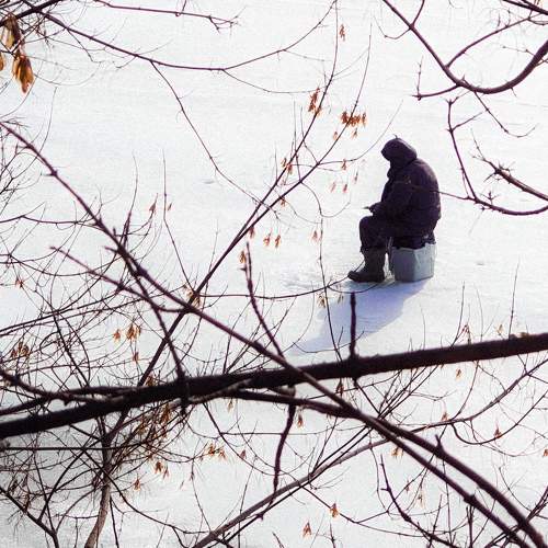 Photo #11439501