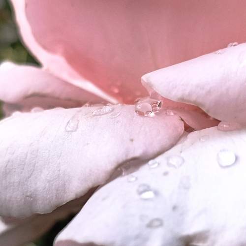 Photo #11439570