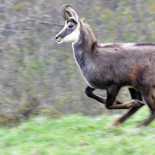 Running