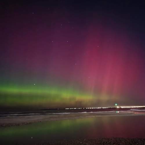 Photo #11439701