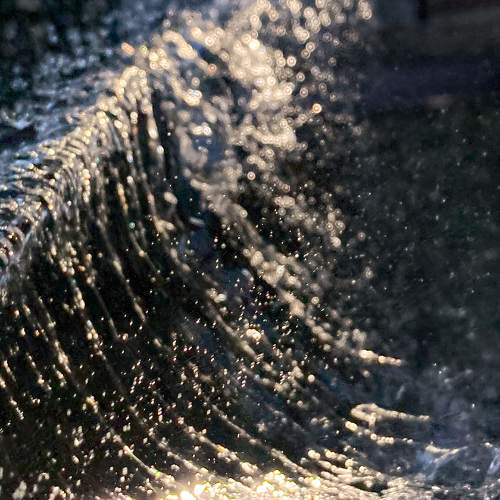 Photo #11439719