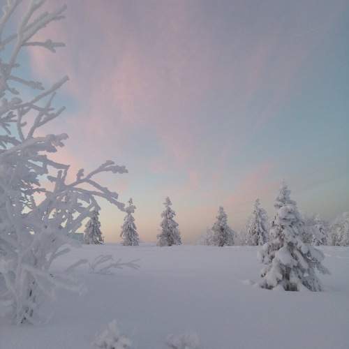Photo #11439844