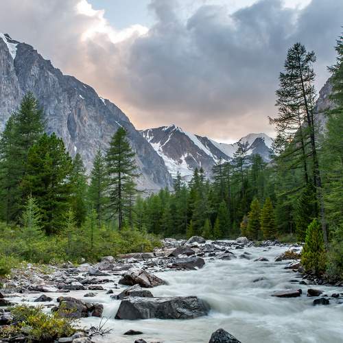 Фотография #11440045