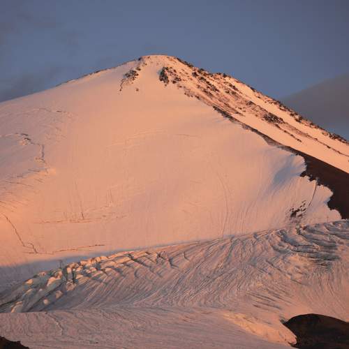 Photo #11440210