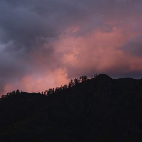 Photo #11440221